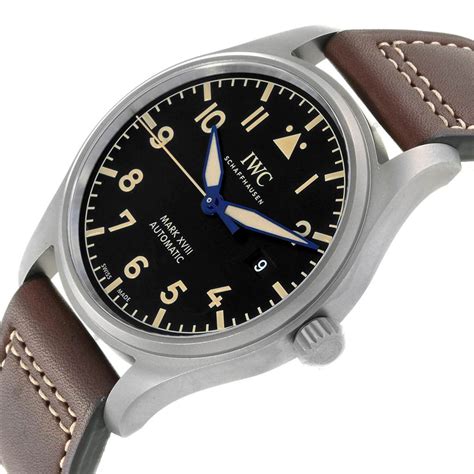 iwc watches bee cave|iwc titanium watch.